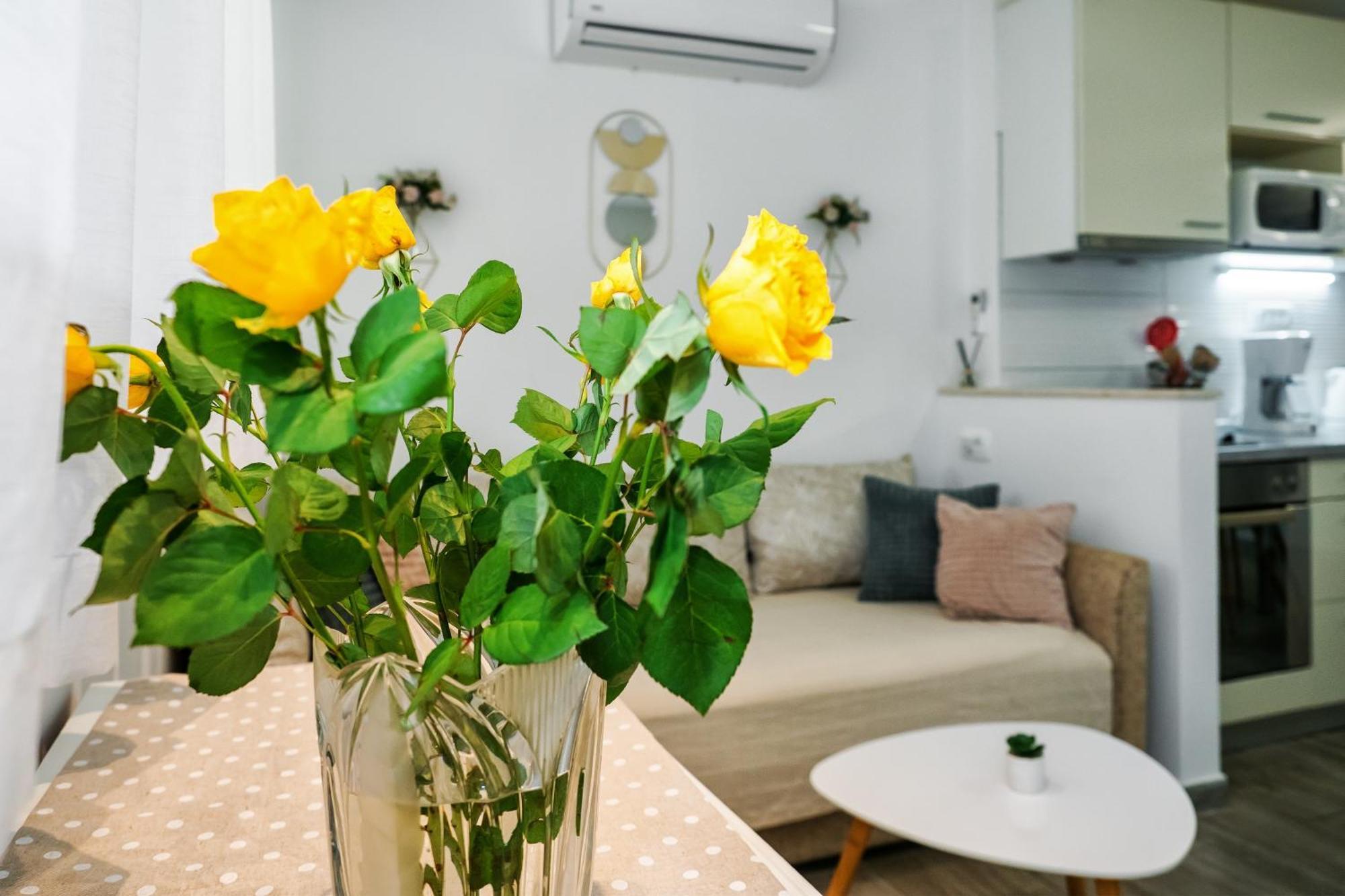 Green Oasis Сплит Екстериор снимка
